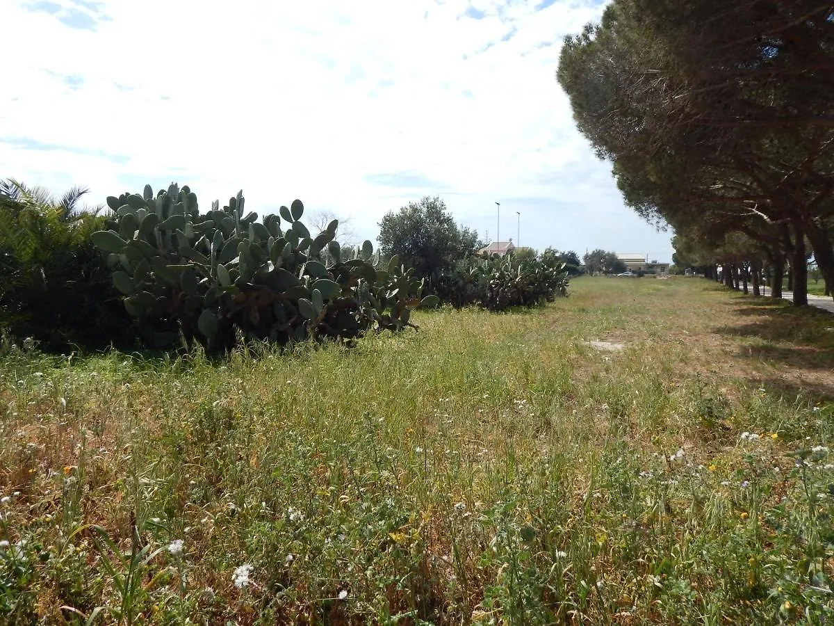 Turtle Island Apartments Santa Croce Camerina Italien