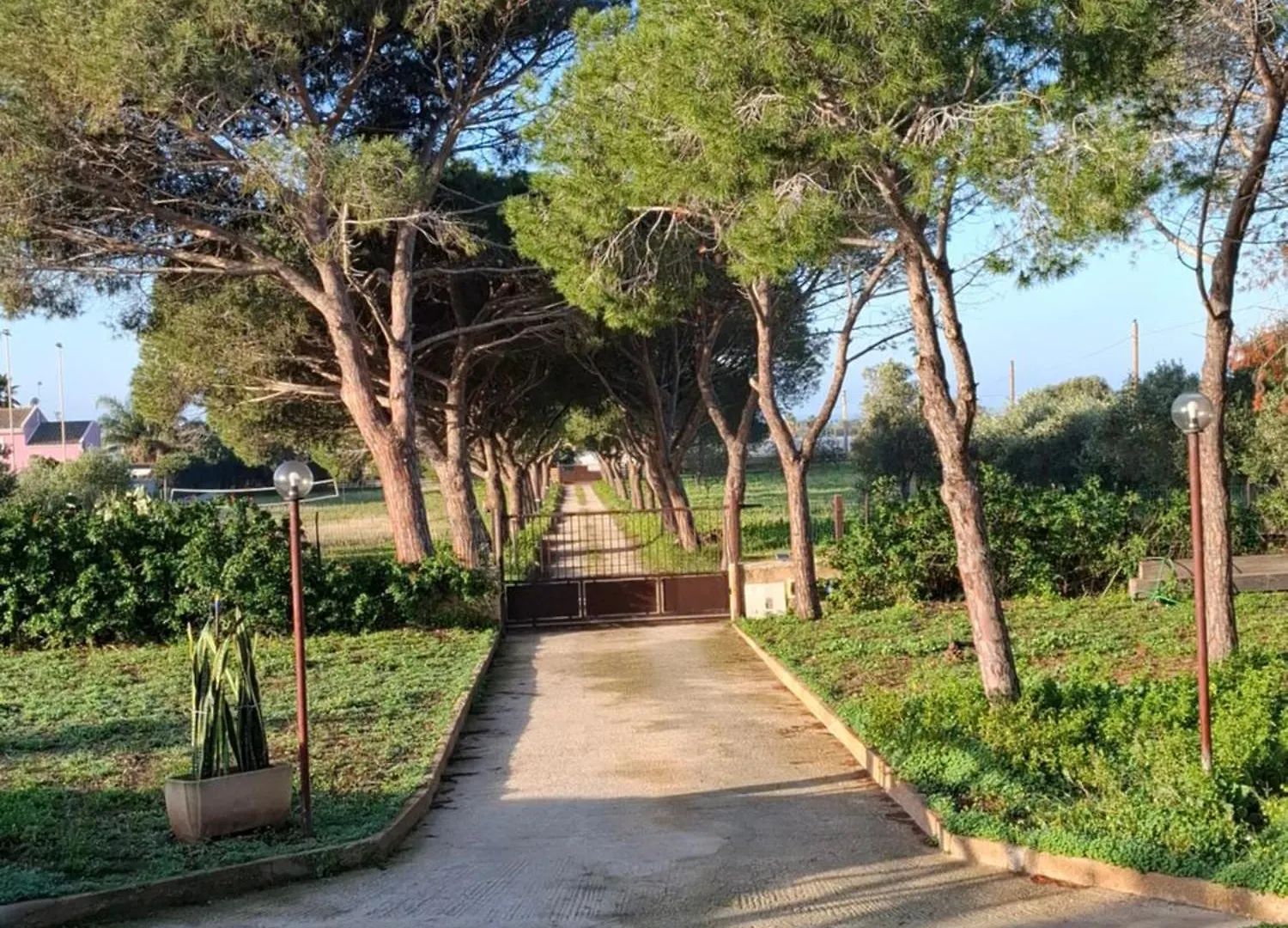Frühstückspension Turtle Island Apartments Santa Croce Camerina